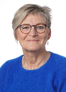 Else Laursen, Lærer og vejleder